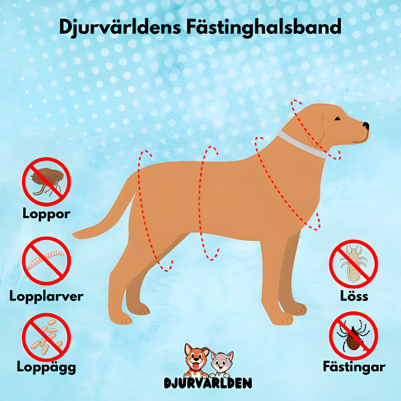 Fästinghalsbandet - Skydda djuret i upp till 8 månader