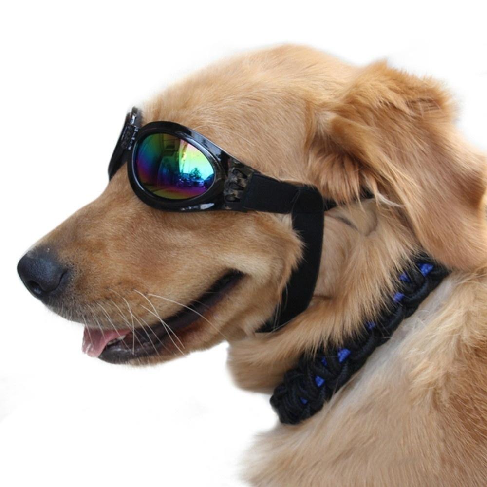 DogGlasses™- Skydda Vovven Från UV-Ljus