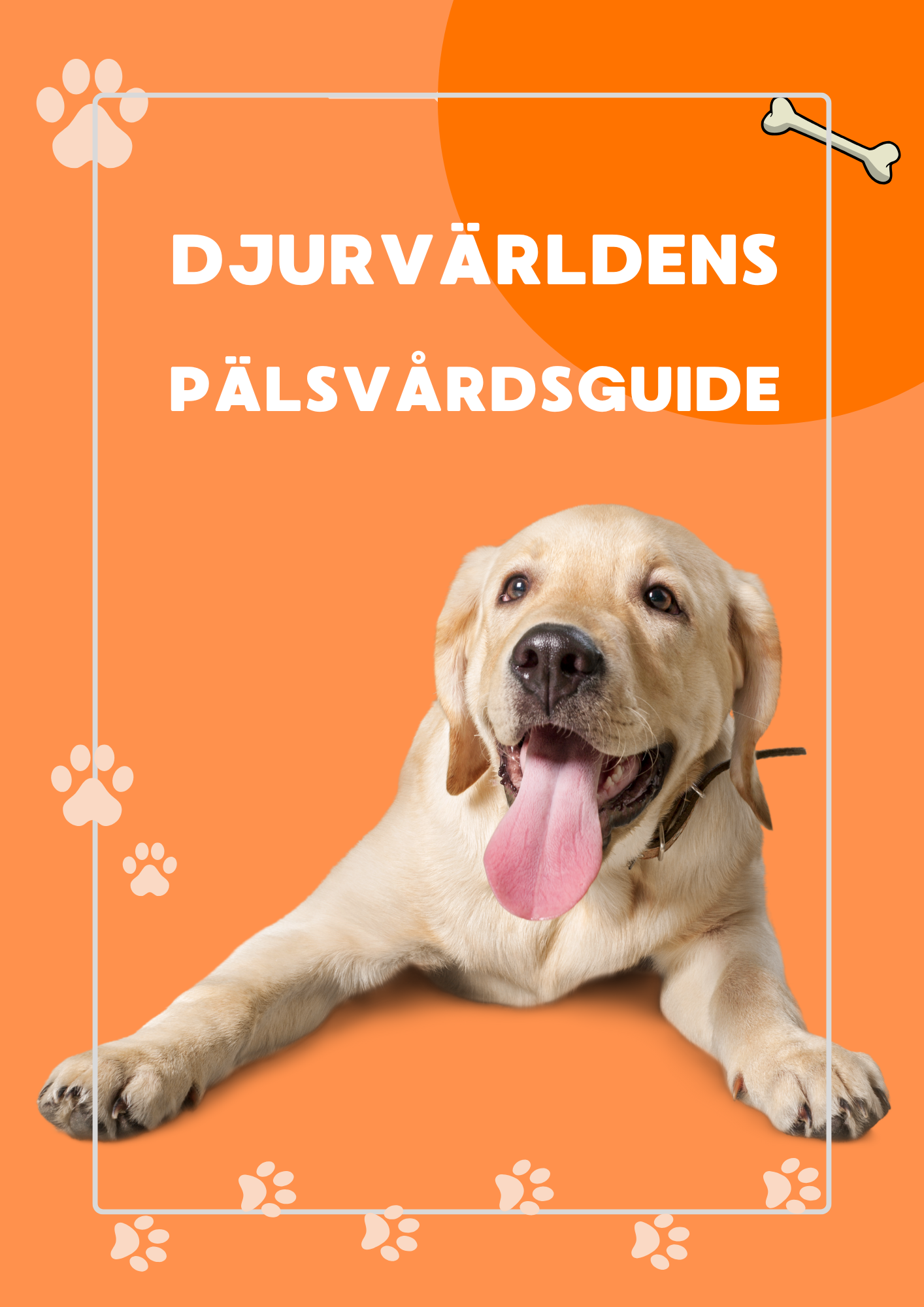 DJURVÄRLDENS PÄLSVÅRDSGUIDE